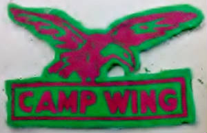 camp_wing_patch.jpg